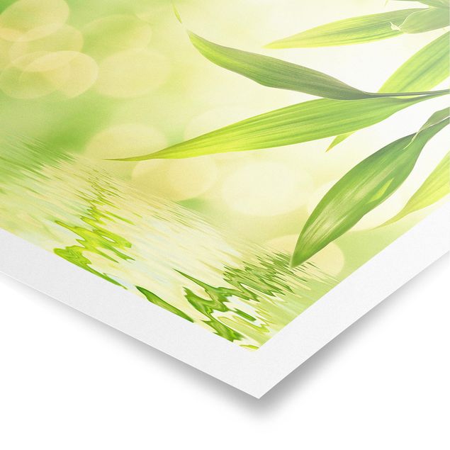 Posters Green Ambiance I