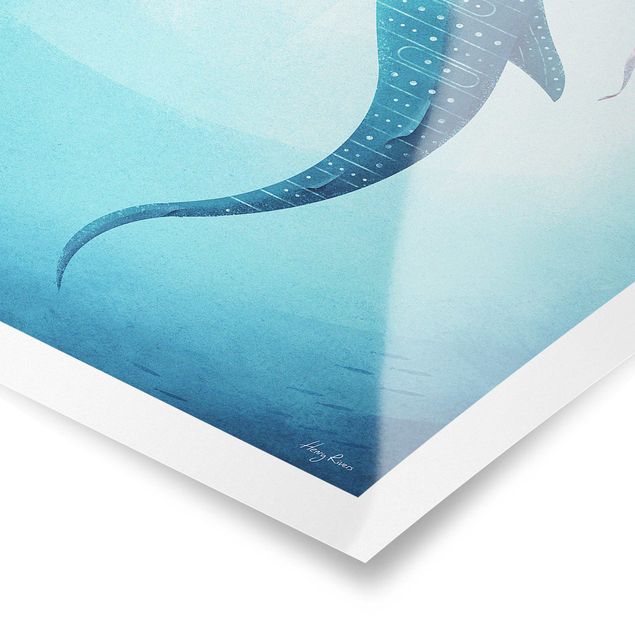 Posters The Whale Shark