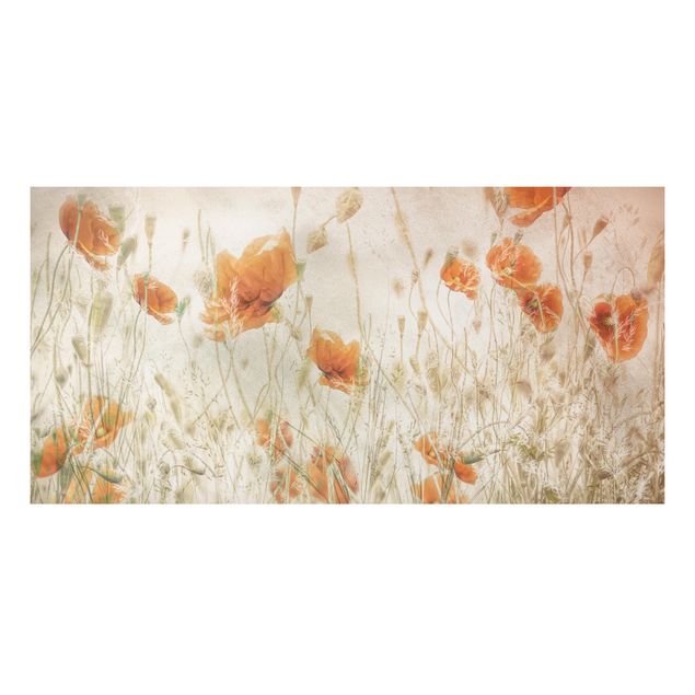 Aluminium Dibond schilderijen Poppy Flowers And Grasses In A Field