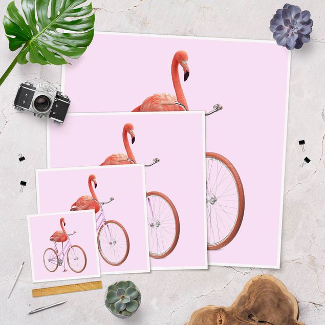 Posters Flamingo With Bicycle