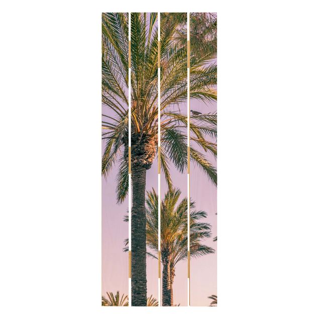 Houten schilderijen op plank Palm Trees At Sunset