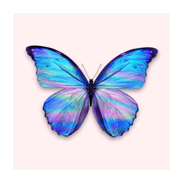 grote vloerkleden Holographic Butterfly