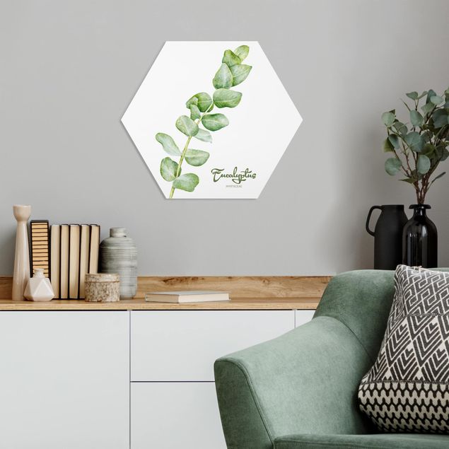 Hexagons Forex schilderijen Watercolour Botany Eucalyptus