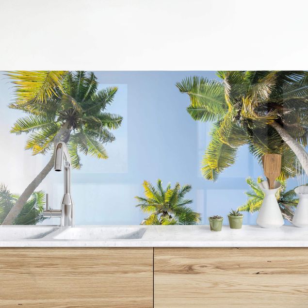 Achterwand voor keuken landschap Palm Tree Canopy