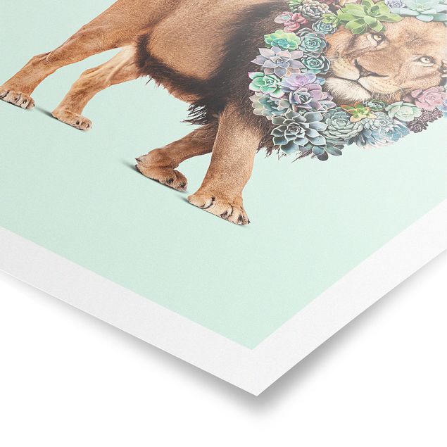 Posters Lion With Succulents