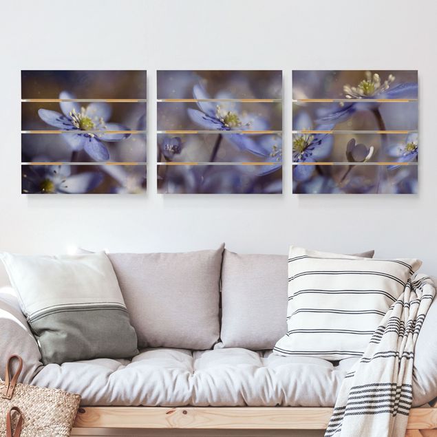 Houten schilderijen op plank - 3-delig Anemone In Blue