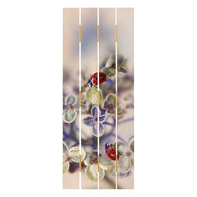 Houten schilderijen op plank Ladybird In The Garden