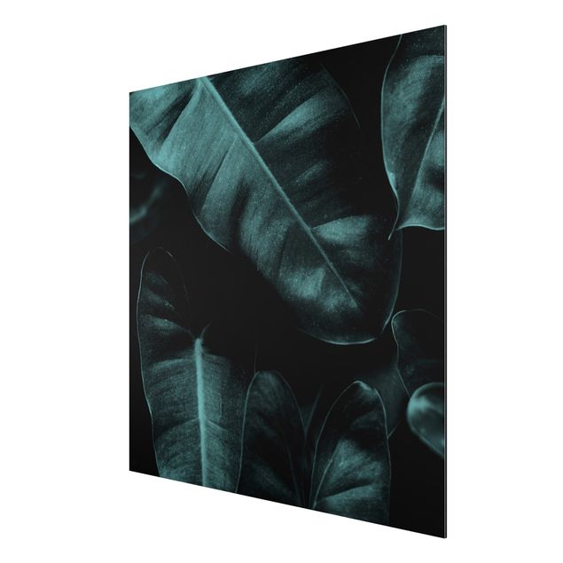 Aluminium Dibond schilderijen Jungle Leaves Dark Green