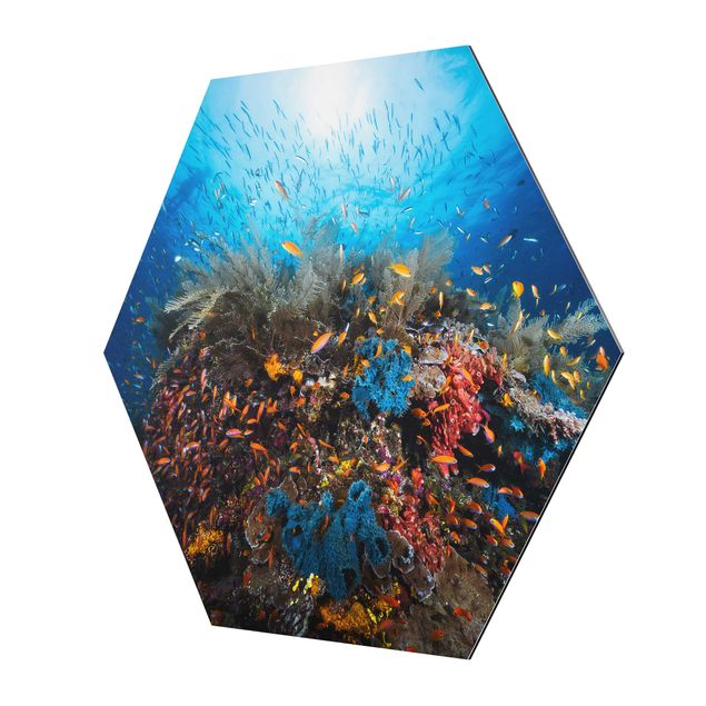 Hexagons Aluminium Dibond schilderijen Lagoon Underwater