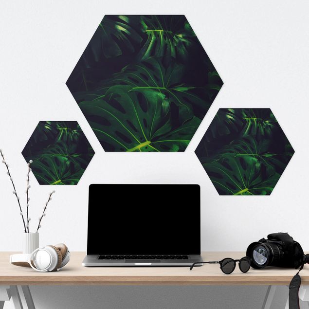 Hexagons Forex schilderijen Monstera Jungle