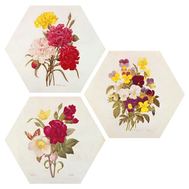 Hexagons Aluminium Dibond schilderijen - 3-delig Pierre Joseph Redouté - Roses Cloves Pansies
