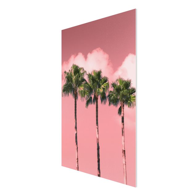 Forex schilderijen Palm Trees Against Sky Pink