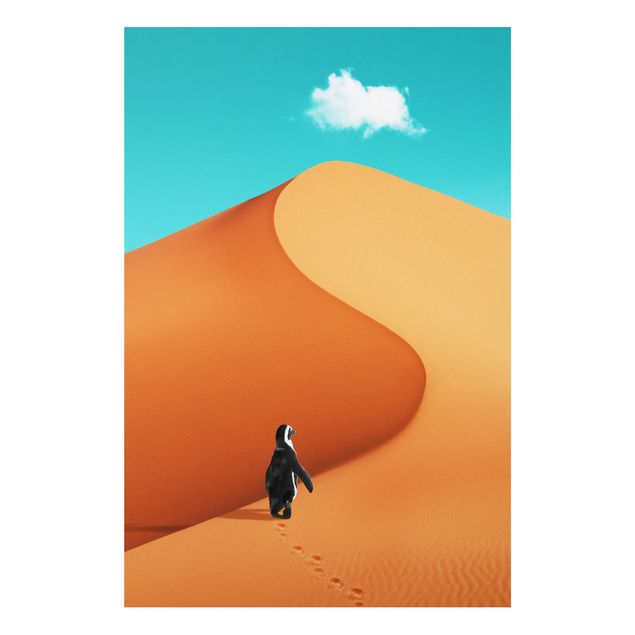 Forex schilderijen Desert With Penguin