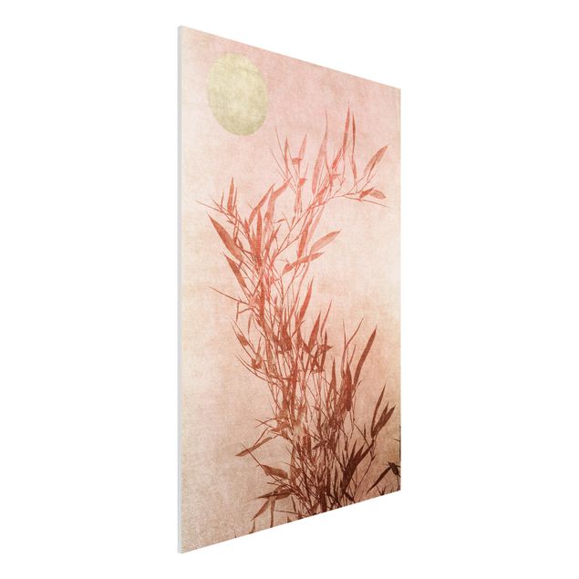 Forex schilderijen Golden Sun Pink Bamboo