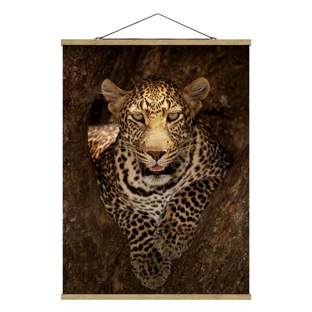 Stoffen schilderij met posterlijst Leopard Resting On A Tree