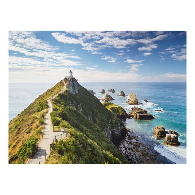 Aluminium Dibond schilderijen Nugget Point Lighthouse And Sea New Zealand