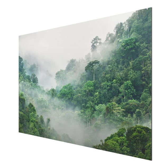 Aluminium Dibond schilderijen Jungle In The Fog