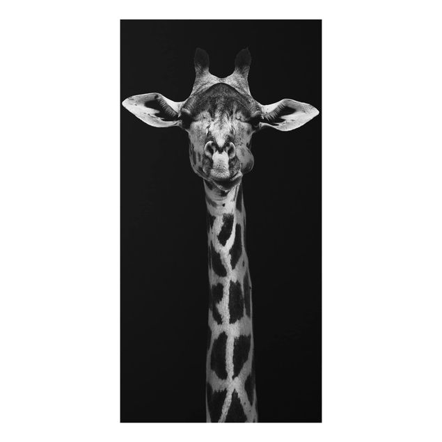 Aluminium Dibond schilderijen Dark Giraffe Portrait