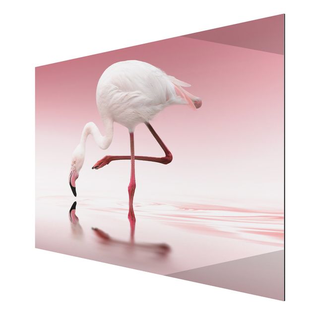 Aluminium Dibond schilderijen Flamingo Dance