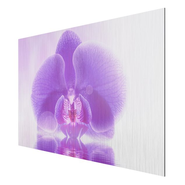 Aluminium Dibond schilderijen Purple Orchid On Water