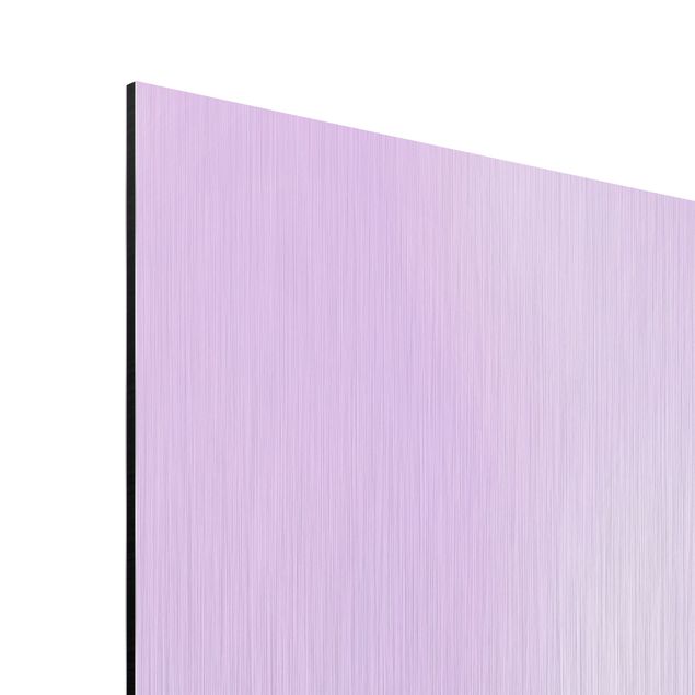 Aluminium Dibond schilderijen Purple Orchid On Water