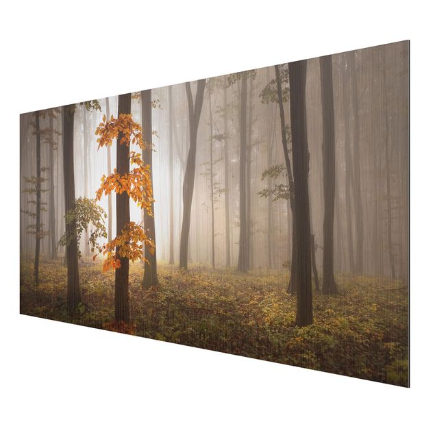 Aluminium Dibond schilderijen November Forest
