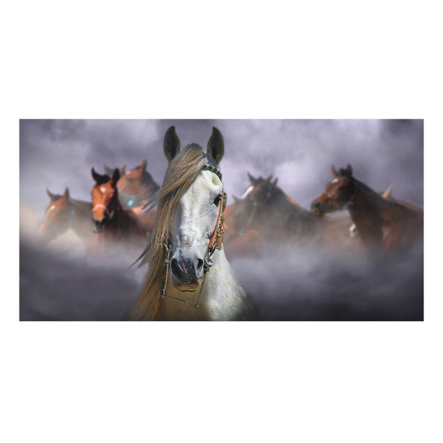 Aluminium Dibond schilderijen Horses in the Dust