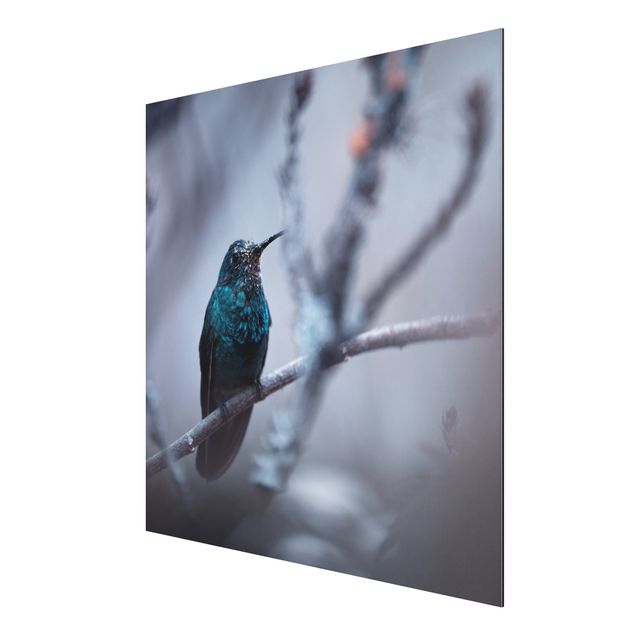Aluminium Dibond schilderijen Hummingbird In Winter