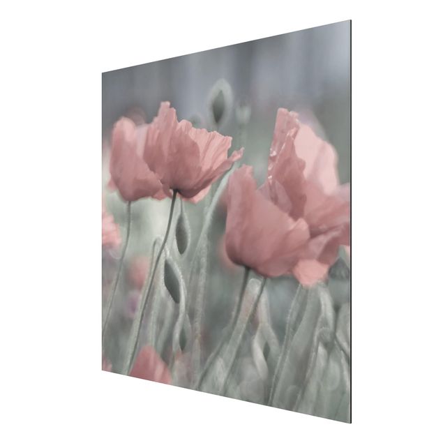 Aluminium Dibond schilderijen Picturesque Poppy