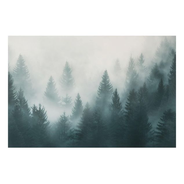 Aluminium Dibond schilderijen Coniferous Forest In Fog