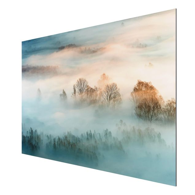Aluminium Dibond schilderijen Fog At Sunrise