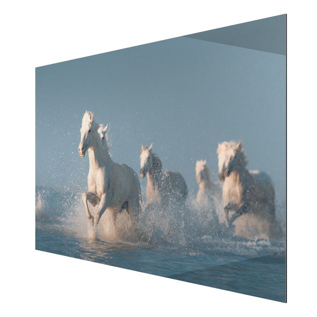 Aluminium Dibond schilderijen Herd Of White Horses