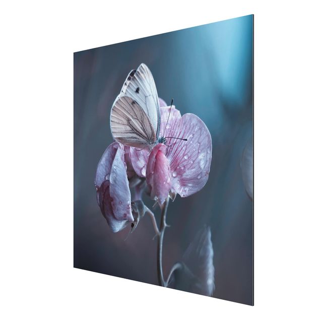 Aluminium Dibond schilderijen Butterfly In The Rain