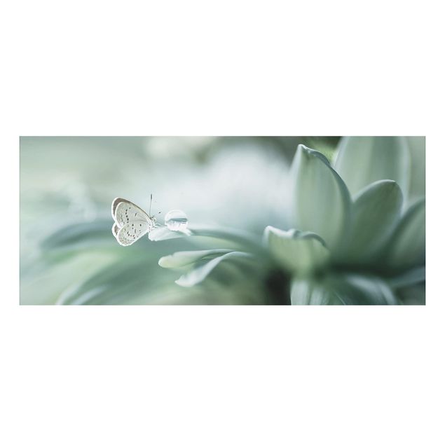 Aluminium Dibond schilderijen Butterfly And Dew Drops In Pastel Green