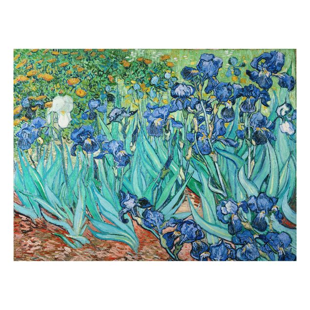 Aluminium Dibond schilderijen Vincent Van Gogh - Iris