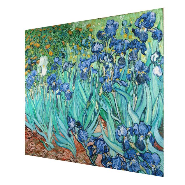 Aluminium Dibond schilderijen Vincent Van Gogh - Iris