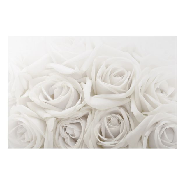 Aluminium Dibond schilderijen White Roses