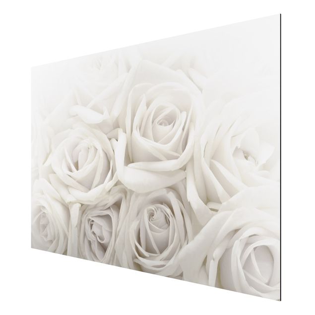 Aluminium Dibond schilderijen White Roses