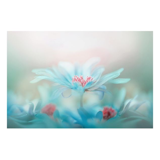 Aluminium Dibond schilderijen Delicate Flowers In Pastel
