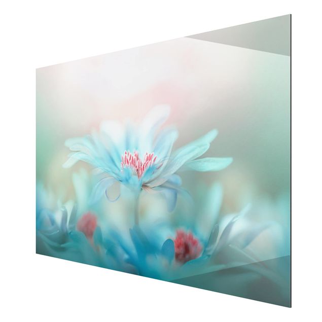 Aluminium Dibond schilderijen Delicate Flowers In Pastel