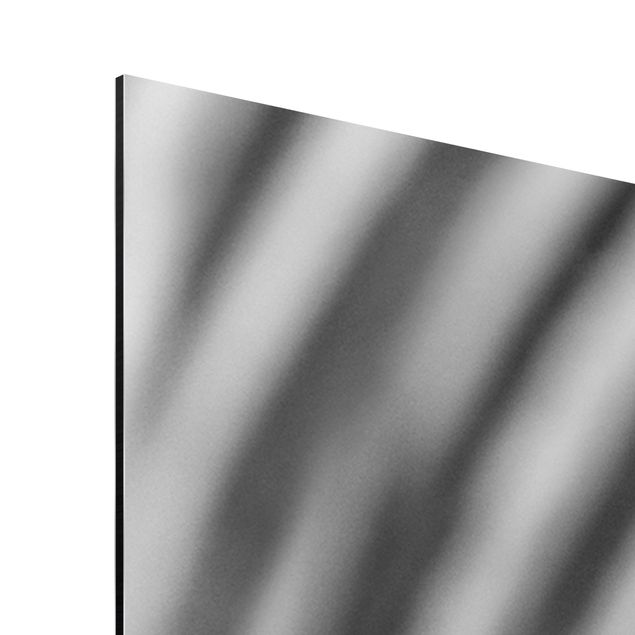 Aluminium Dibond schilderijen Zebra Look