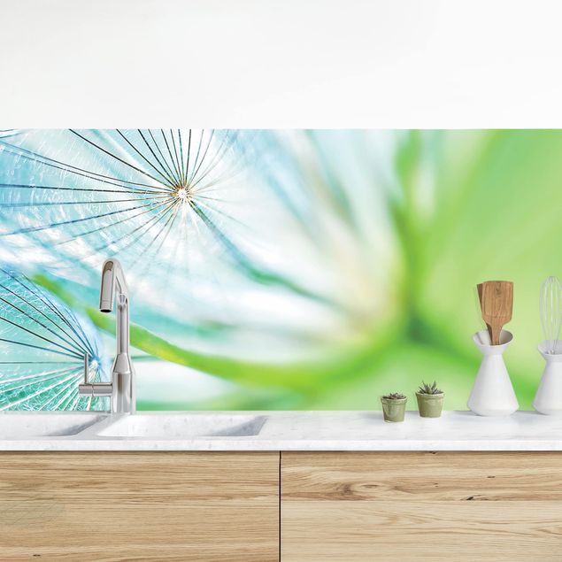 Achterwand voor keuken bloemen Abstract Dandelion