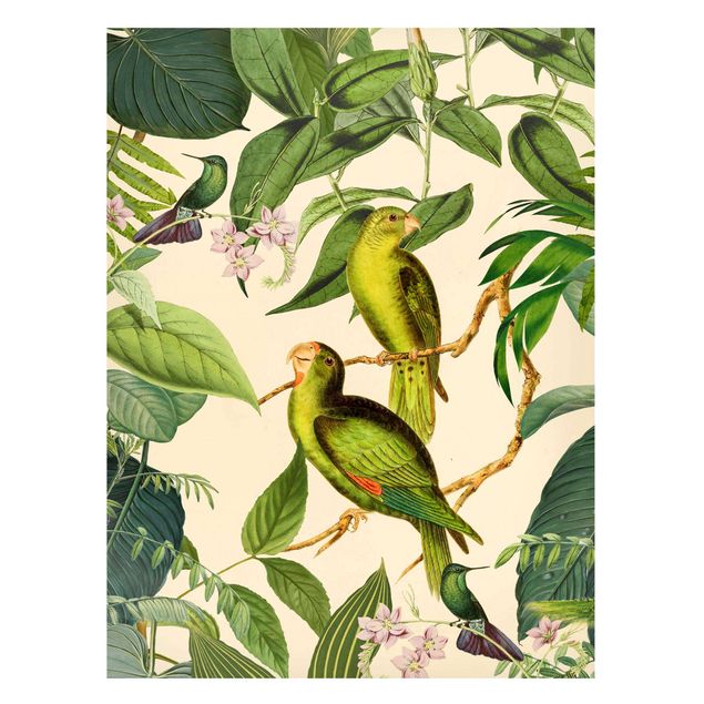 Magneetborden Vintage Collage - Parrots In The Jungle
