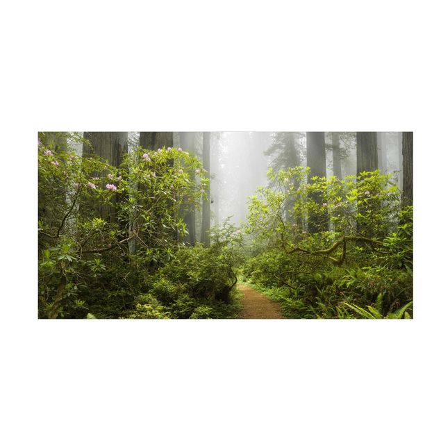 groen vloerkleed Misty Forest Path