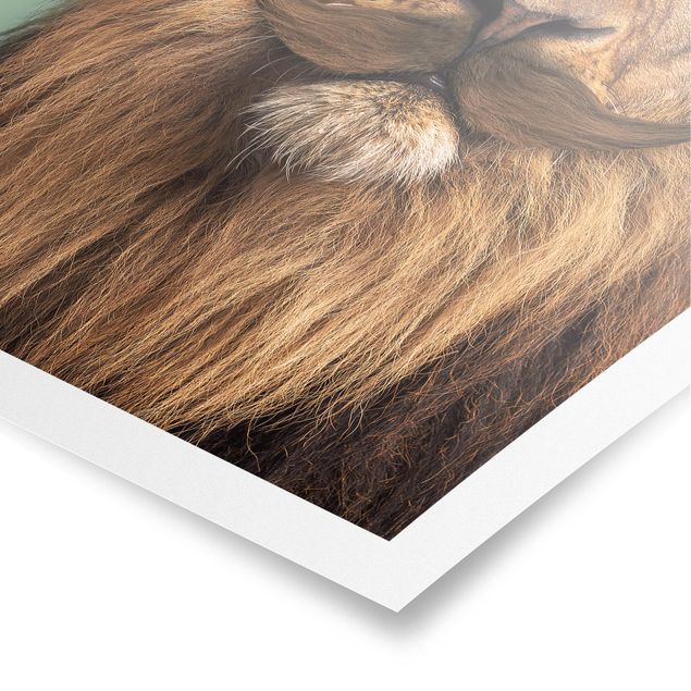 Posters Lion With Beard