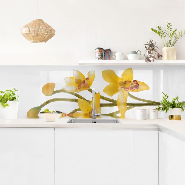 Achterwand in keuken Saffron Orchid Waters