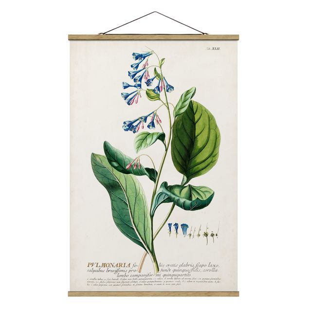 Stoffen schilderij met posterlijst Vintage Botanical Illustration Lungwort