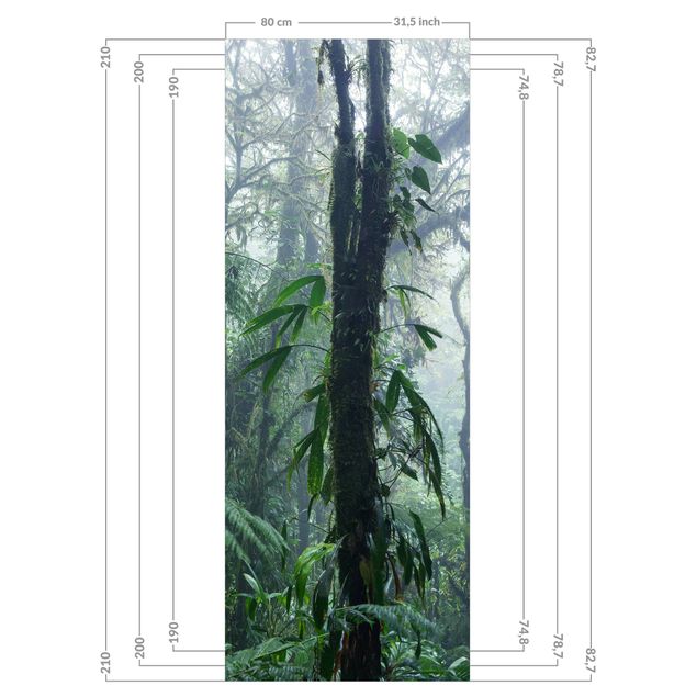 Duschrückwand - Monteverde Nebelwald