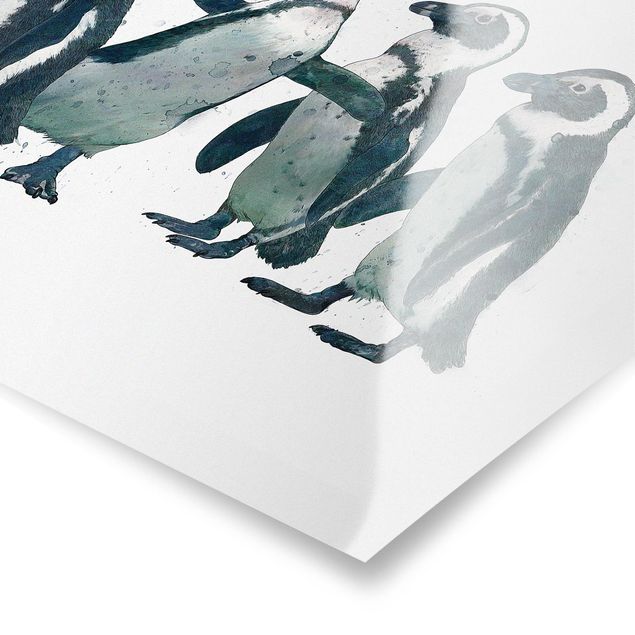 Posters Illustration Penguins Black And White Watercolour