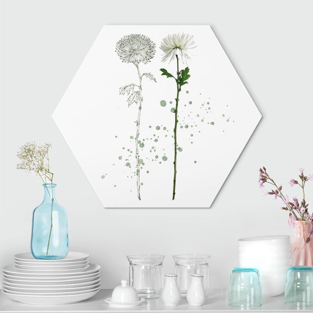 Hexagons Aluminium Dibond schilderijen Botanical Watercolour - Dandelion